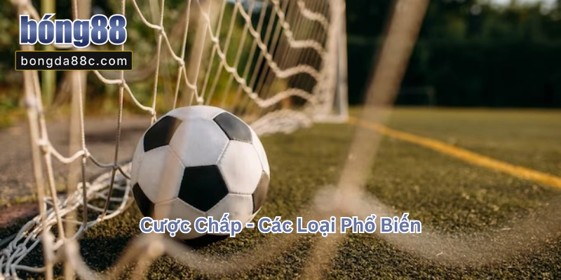 Cược Chấp