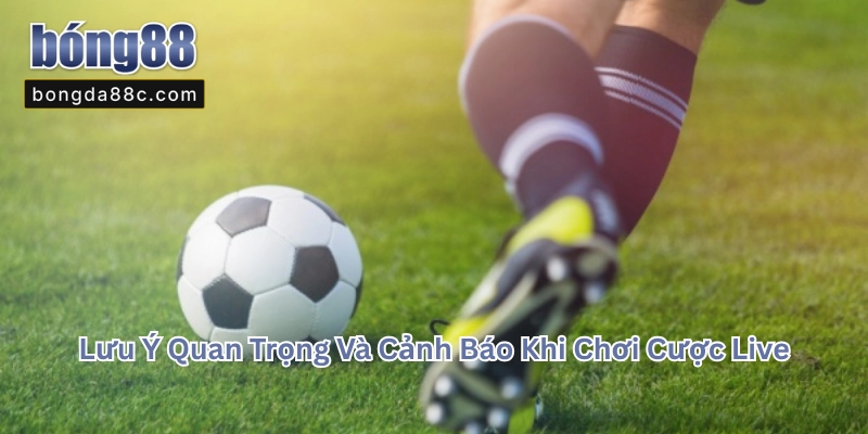 Cược Live